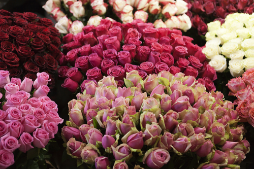 Comprare e pagare fiori online in modo facile e sicuro